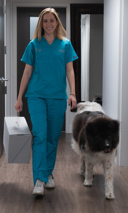 Dr.UGraft® Zeus System